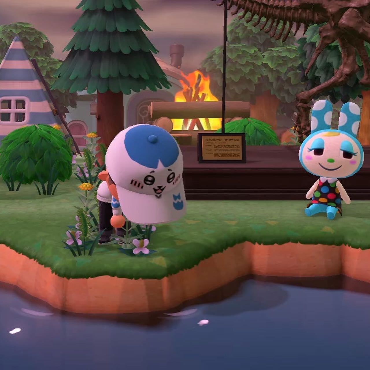 ハチワレキャップ（生え変わり）