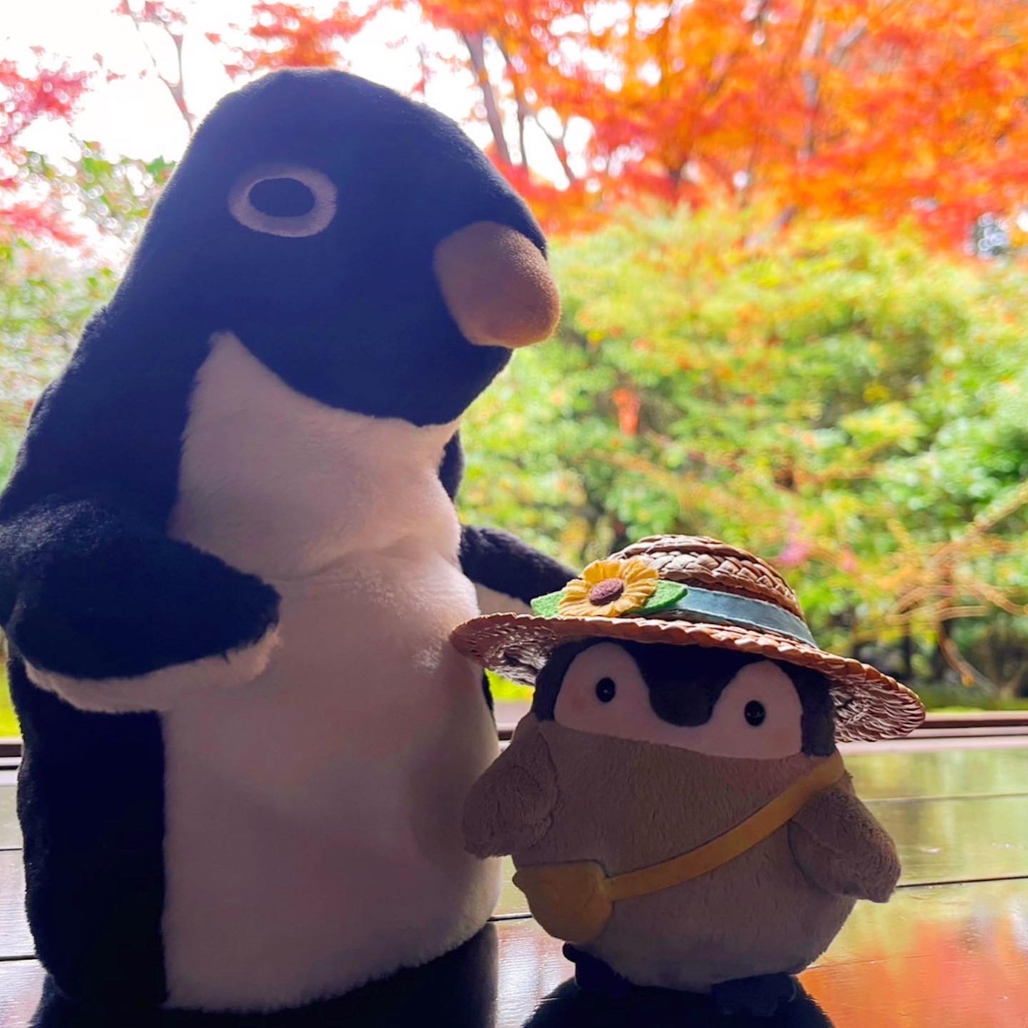 おでかけ冒険記 2022秋②