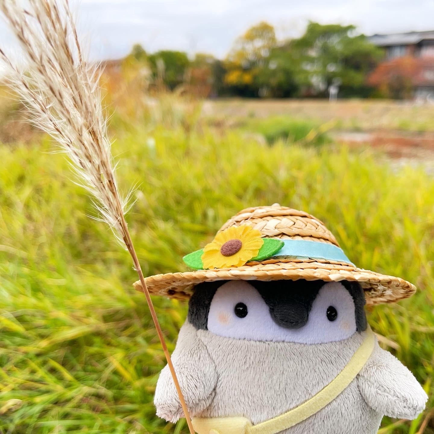 おでかけ冒険記 2022秋③