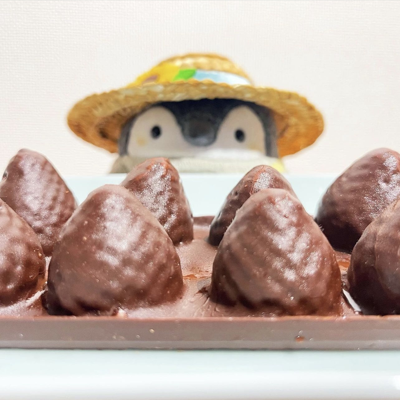 ショコラ・プロムナード