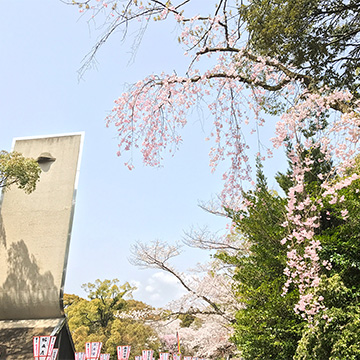 京都 石清水八幡宮