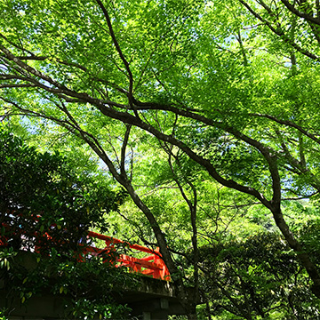 京都 鞍馬寺