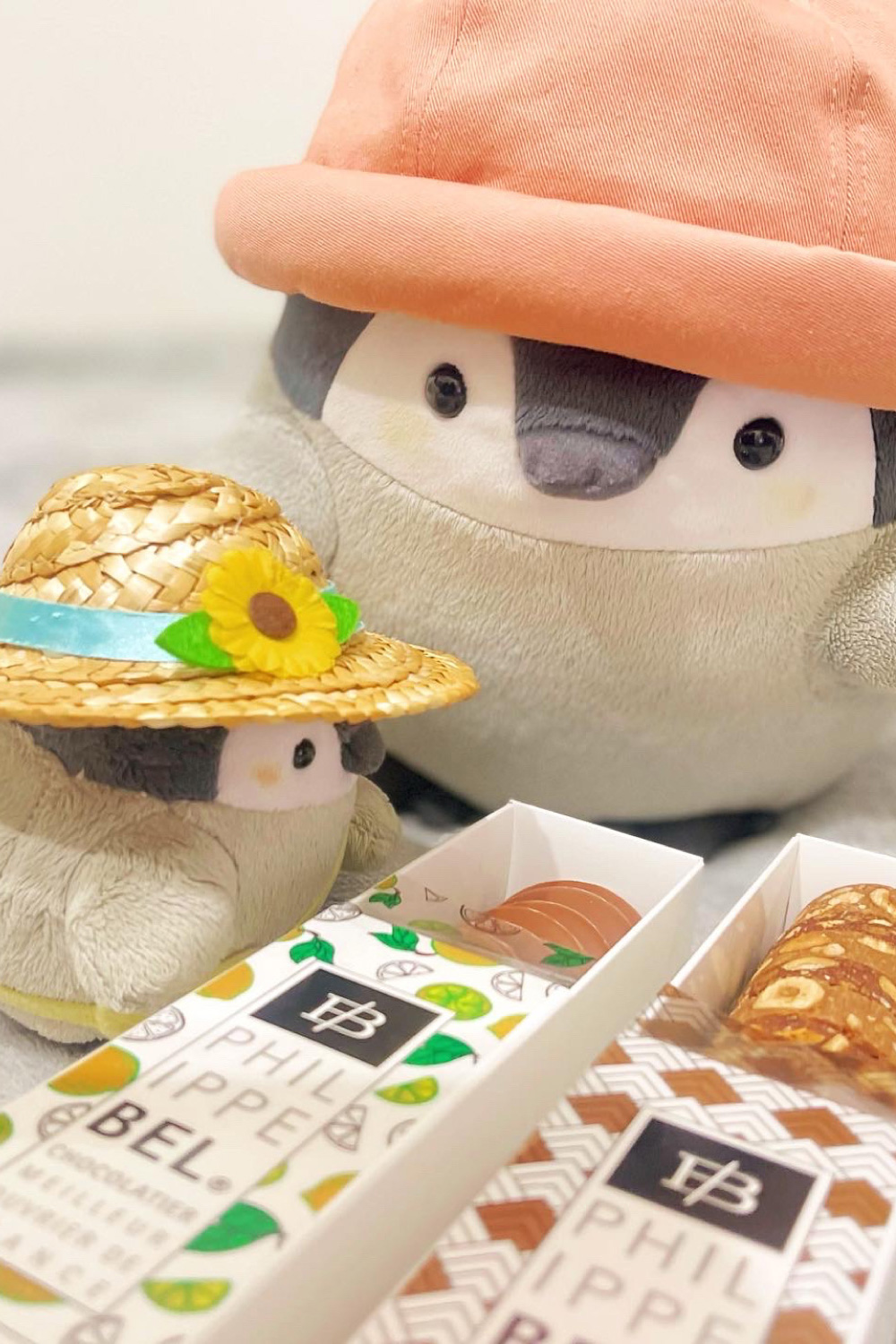 サロンデュショコラ