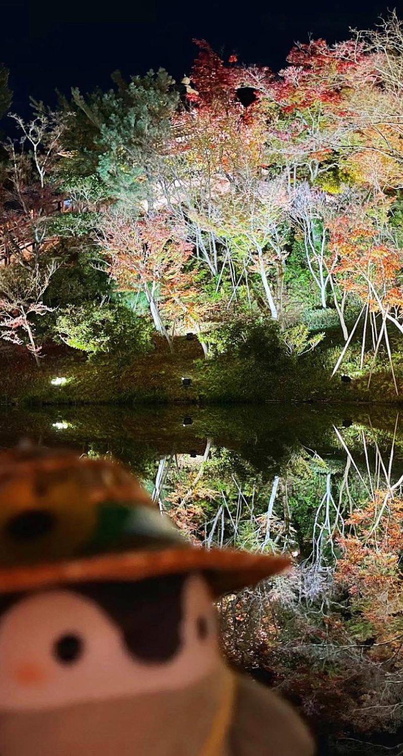 おでかけin高台寺